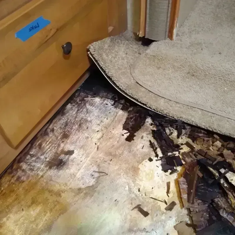 Wood Floor Water Damage in Saint James, MO